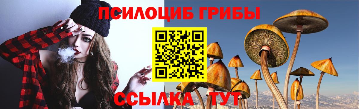 Псилоцибиновые грибы мухоморы Алатырь